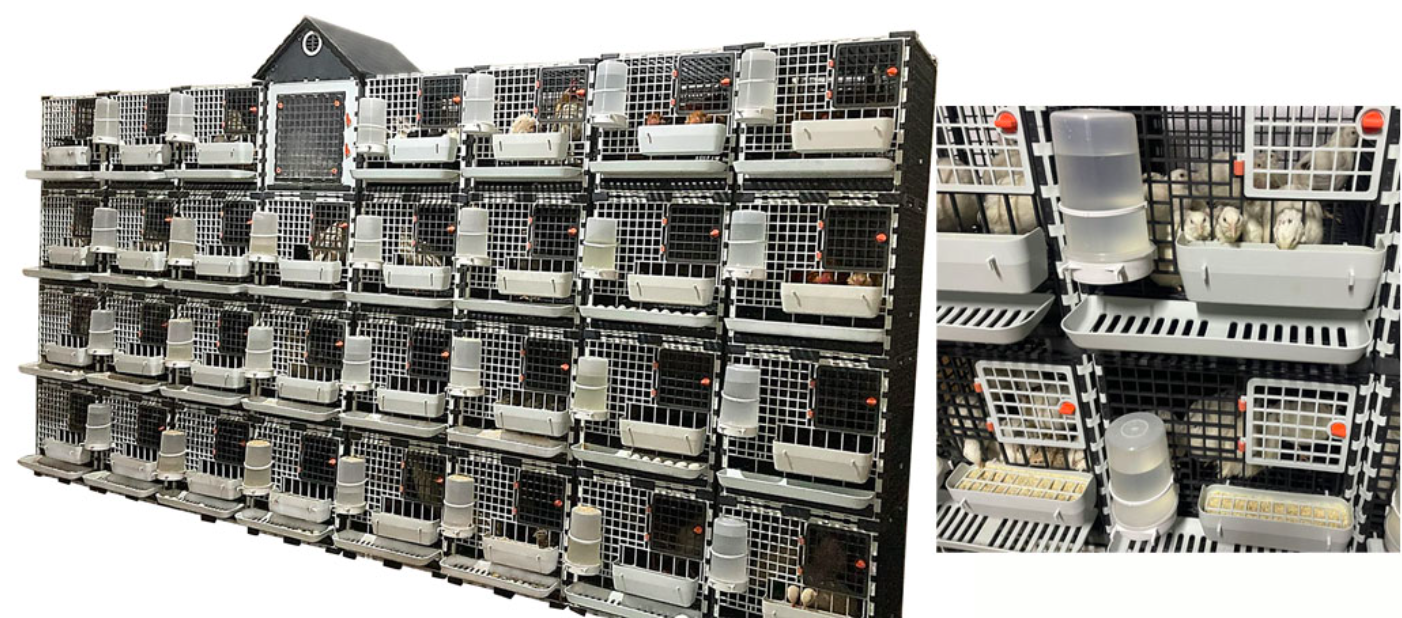 Snímka obrazovky 2026-02-12 o 12.22.49